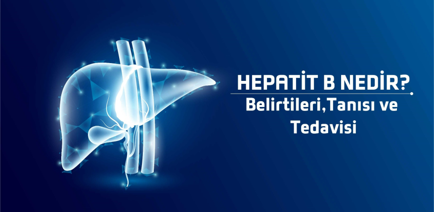 hepatitb.jpg