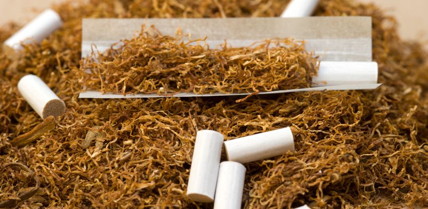 Tütün ve tütün ürünleri bağışıklık sistemini zayıflatıyor.