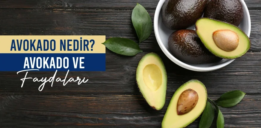 Avokado Nedir? Avokado ve Faydaları