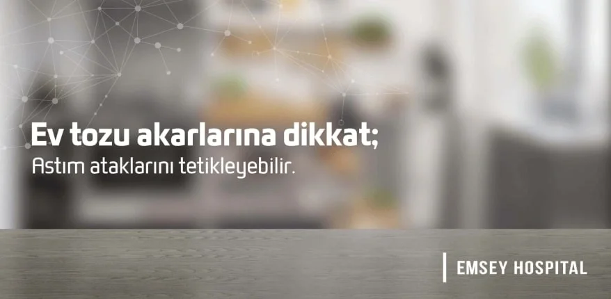 Ev tozu akarlarına dikkat; astım ataklarını tetikleyebilir.