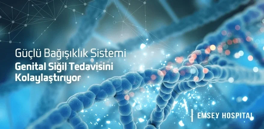 Güçlü Bağışıklık Sistemi Genital Siğillerin Tedavisini Kolaylaştırıyor