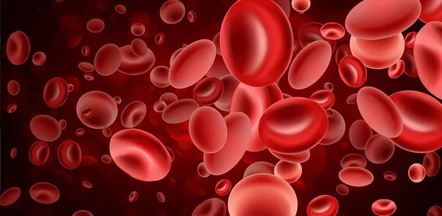 HEMATOLOJİ NEDİR?