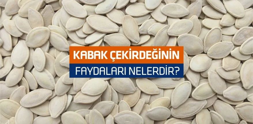 Kabak Çekirdeğinin Faydaları Nelerdir?