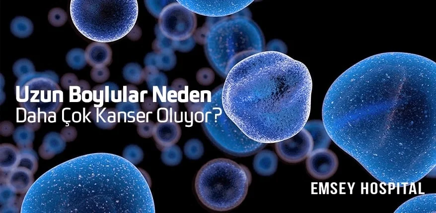 Uzun Boylular Neden Daha Çok Kanser Oluyor?