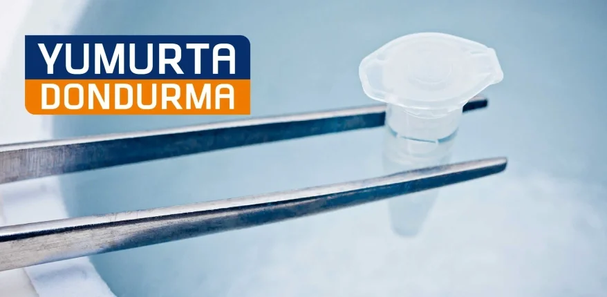 Yumurta Dondurma İşlemi Nedir? Kimlere Uygulanır?