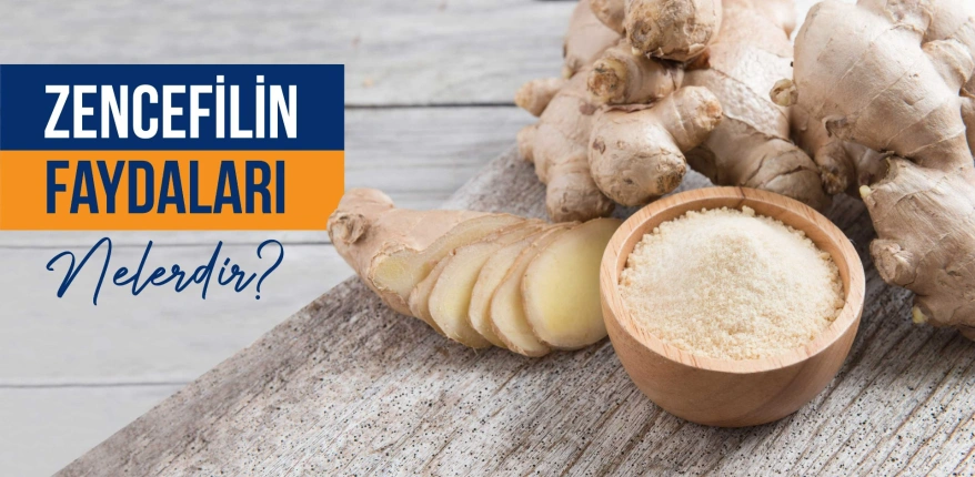 Zencefilin Faydaları Nelerdir?