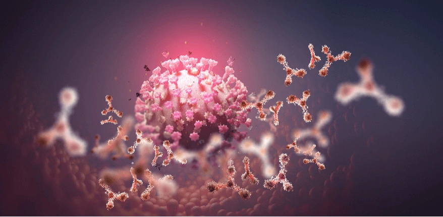 Enfeksiyon Hast. ve Mikrobiyoloji