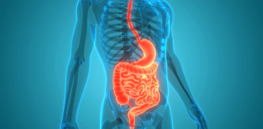 Gastroenteroloji