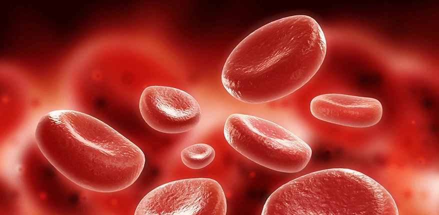 Hematoloji