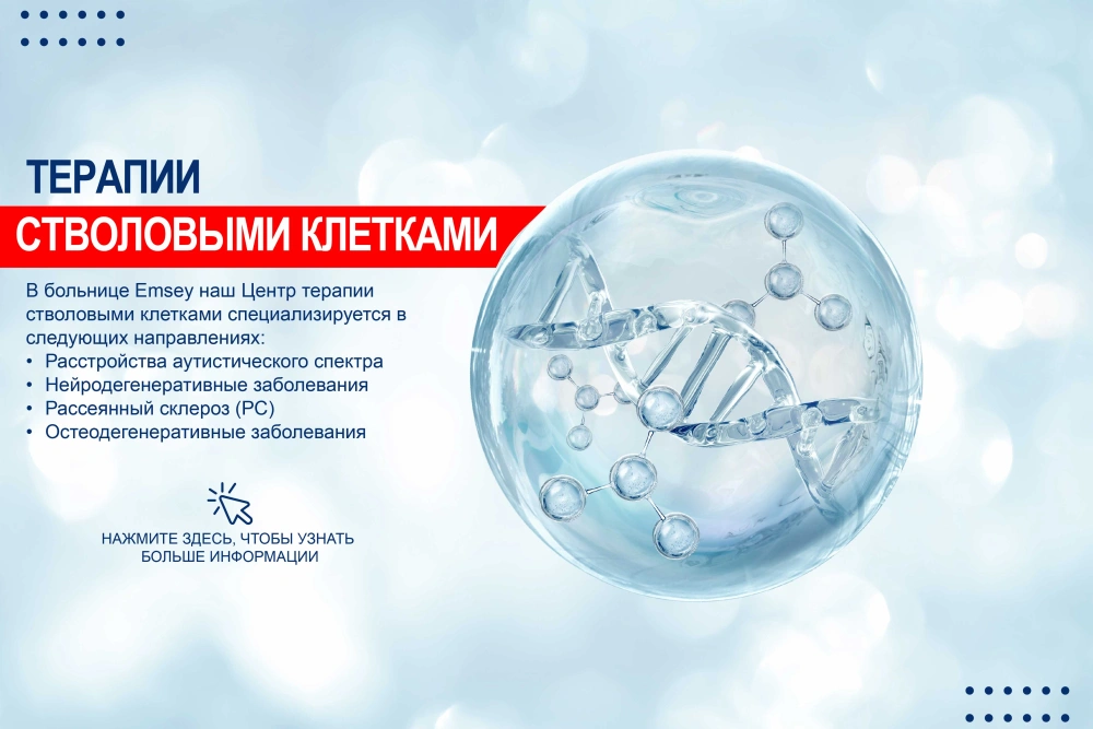Stem Cell